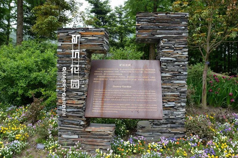 上海辰山植物园矿坑花园与岩石园详解的图4