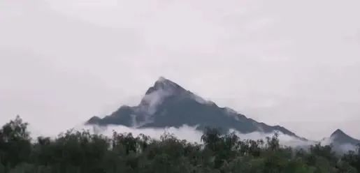 破损山体生态修复技术的图3