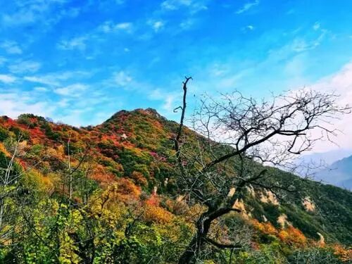 破损山体生态修复技术的图5