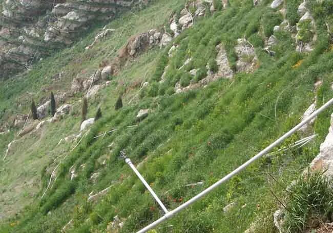 破损山体生态修复技术的图9