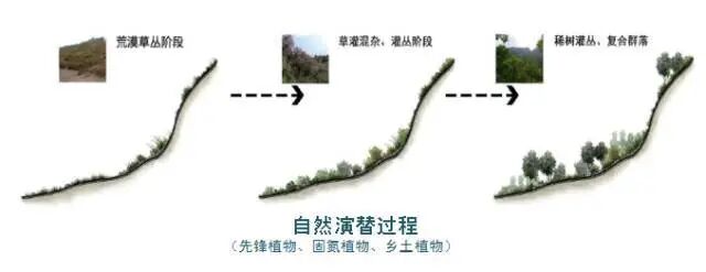 生態修復必須跳出“改造自然”的老路的圖4