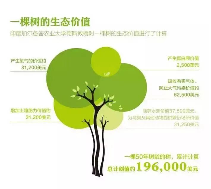 生態價值的實現路徑與機制構建的圖2