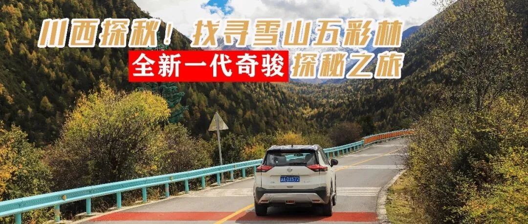 和全新一代奇骏一起去川西探秋！找寻雪山五彩林