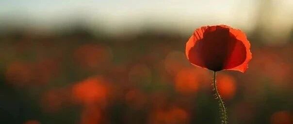 我国就业率最高的5所高校，没有清华，让人感到意外！