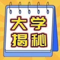 前途大好的“冷门专业”，它是金融内卷的新答案？