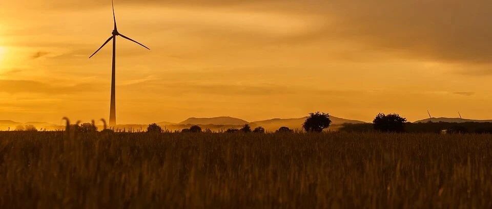 这9个“超冷门”专业就业率还挺高，但80%的人不知道！