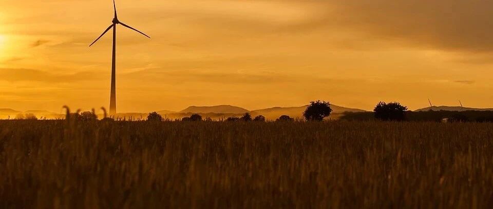 千万别选！大学里“最难就业”的5个专业，60％的学生后悔报考