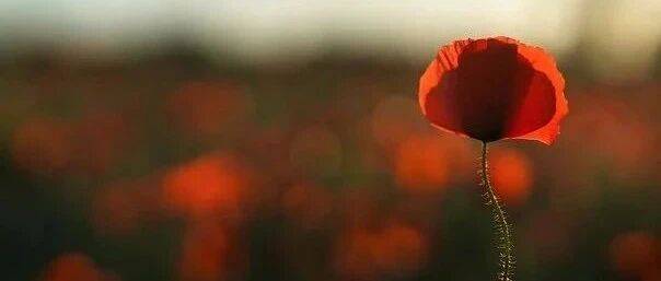 录取人数最多的10大理科专业和10大文科专业，收藏！