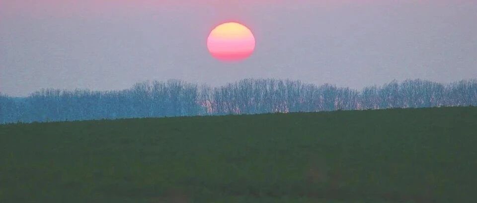 太爽了！这3类大学生不需考试，可直接成为公务员