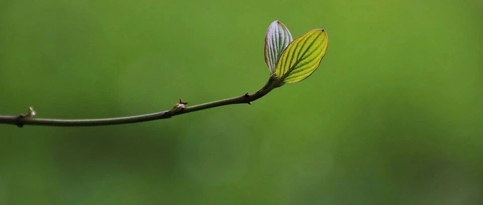 5个“烂大街”的本科专业！不考研没前途！