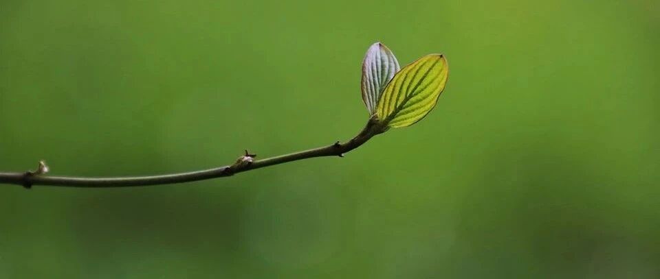 孩子想当公务员，选哪些专业更有优势？（附：2022国考职位表大数据分析！）