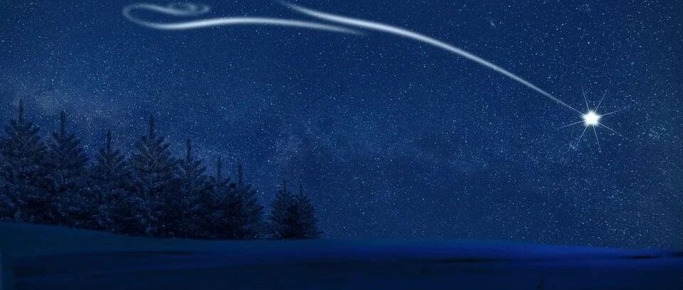 警惕！这14个专业只上本科等于白上，不考研基本没前途！