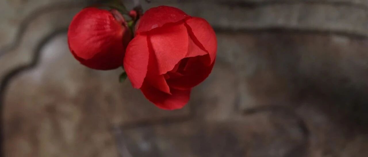 这6所大学的学生“太幸福”，没毕业就被预定，堪比铁饭碗！（附2021分数线）