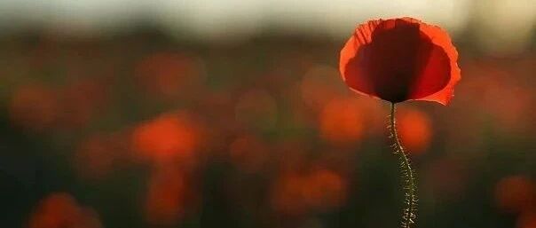 强到炸裂！这些大学的毕业生都有机会拿百万年薪，明年学秃头才能考上？