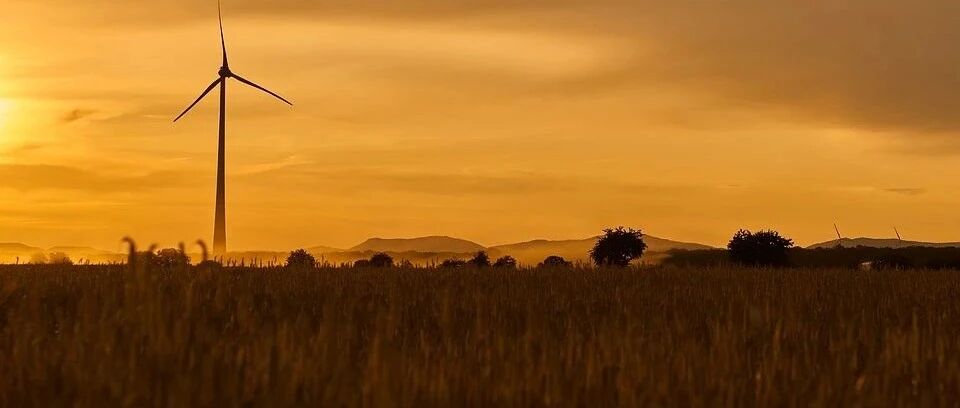 二本最“不建议”报这些专业，很热门但是难就业！