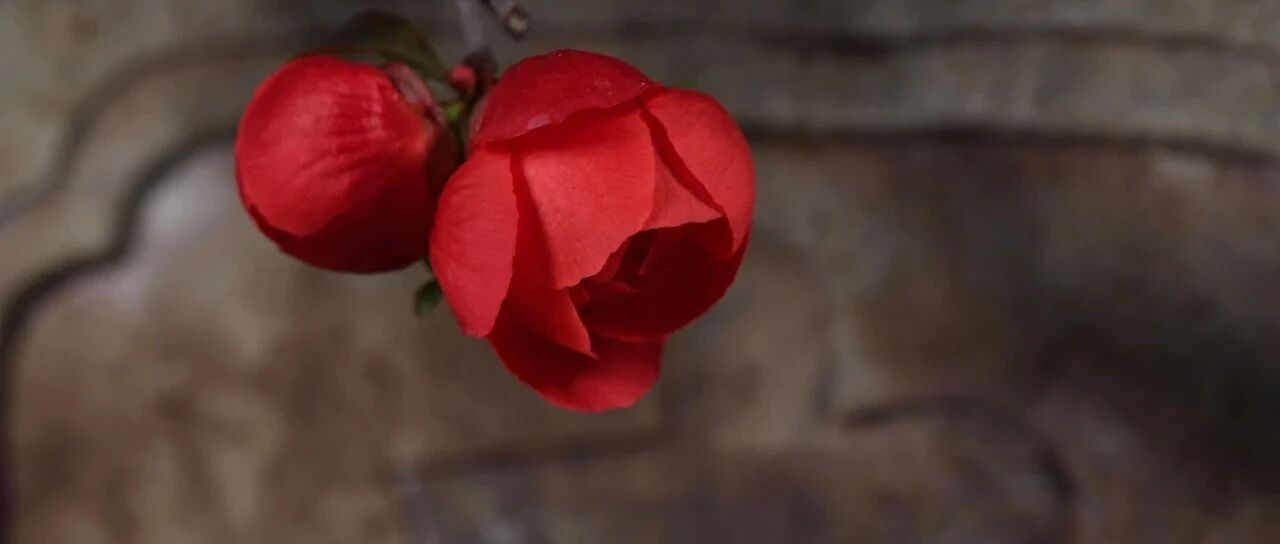 没毕业就被预定，这几所大学的学生“太幸福”，堪比铁饭碗！（附2021分数线）