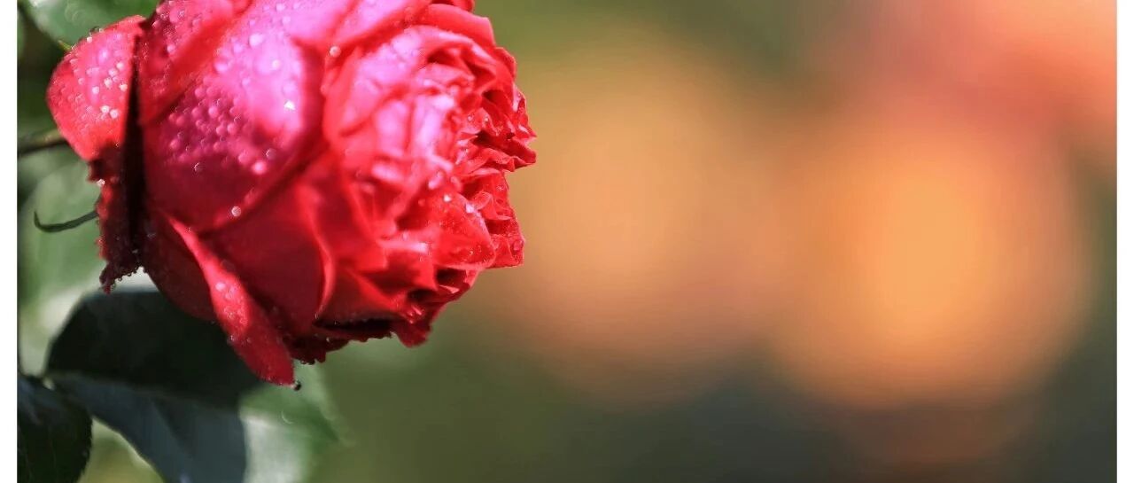 公认的铁饭碗排名，教师排第9、第1竟是……