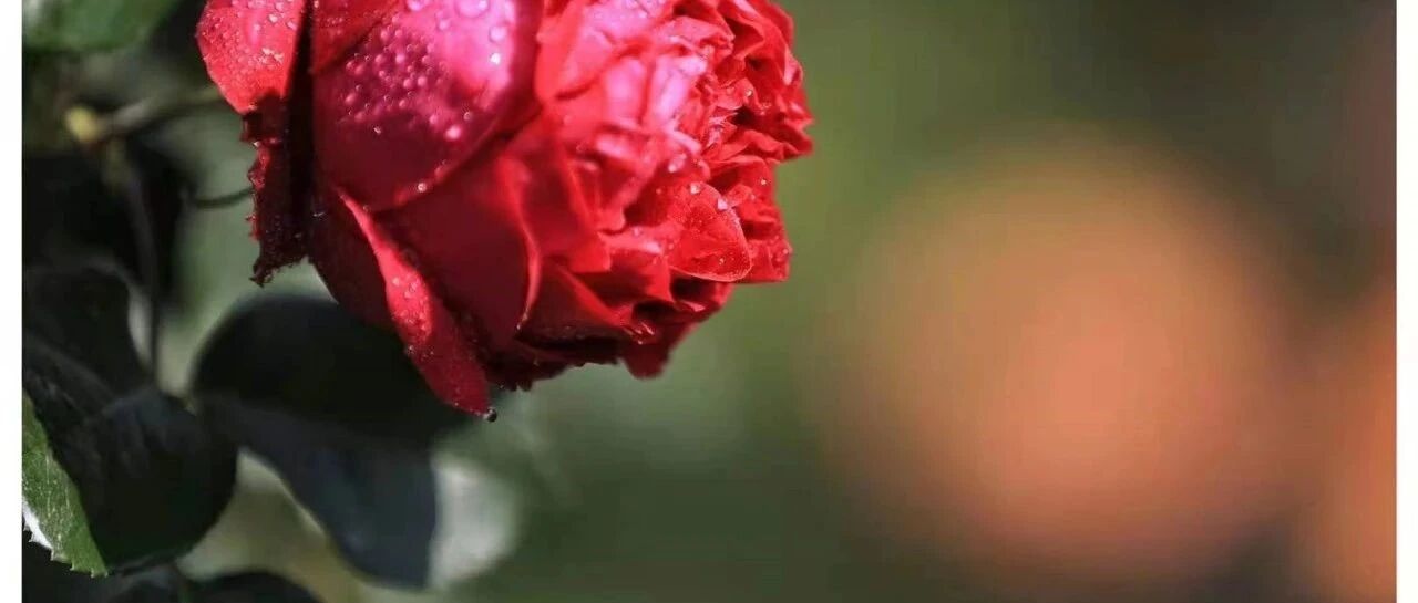 最“抠门”父亲给女儿取名，名+姓一共3笔，没有一笔是弯的!