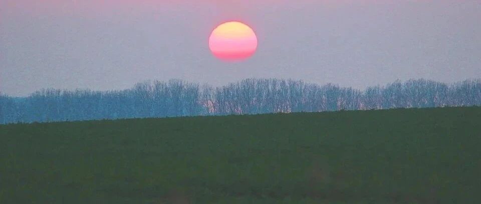 夫妻谁的基因决定了孩子的智商和相貌？太准了