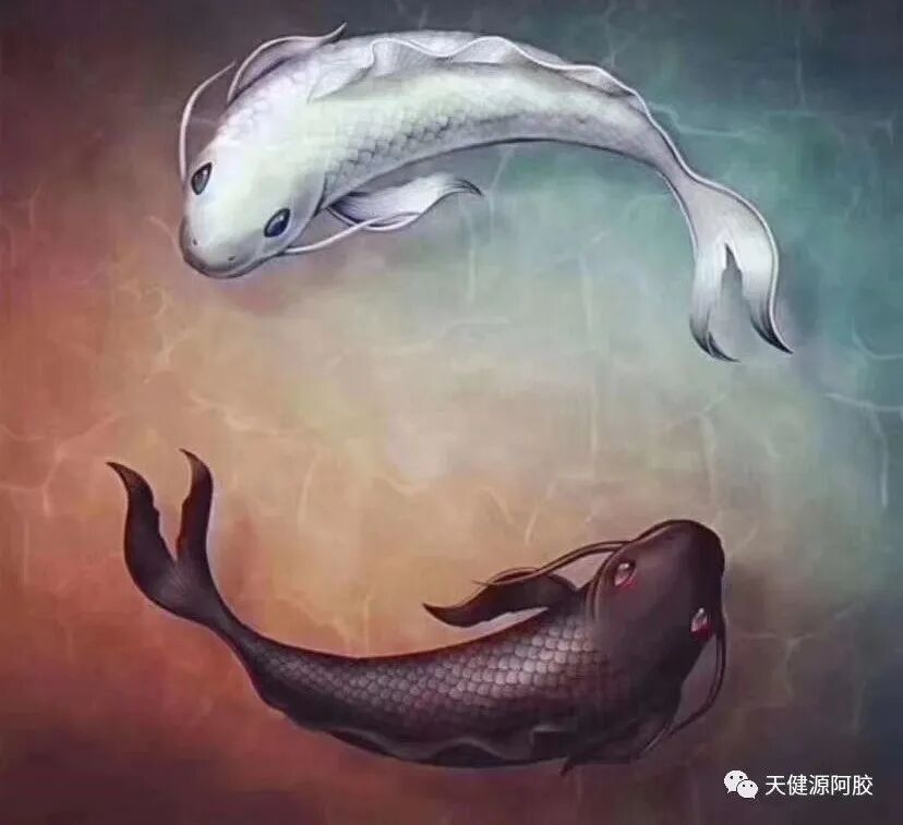 夏天到底能不能吃阿胶？ 夏季吃阿胶 能不能吃阿胶 第2张