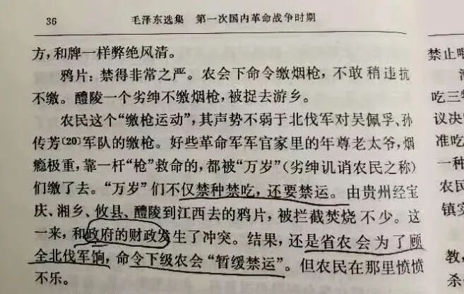 幸好是雷蛇，不然是“谭小叶杨”(图3)