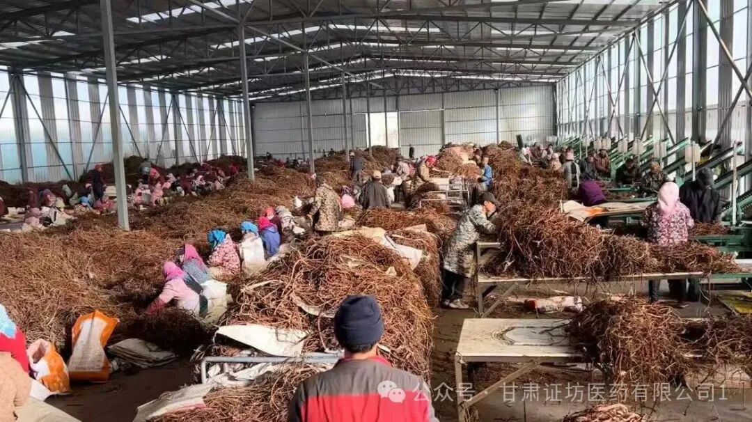 2025年中药行业冰火之歌：寒冬中的逆袭者逻辑