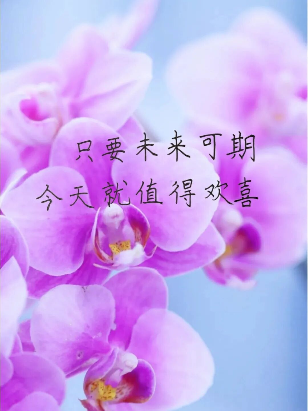 很燃很励志的正能量语录,简短霸气,挑一句送给追梦的自己