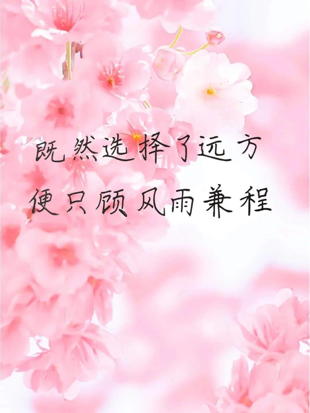 很燃很励志的正能量语录,简短霸气,挑一句送给追梦的自己