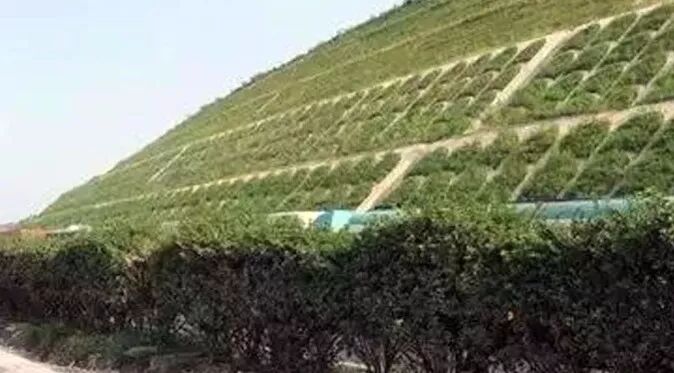 边坡绿化方案详解的图2