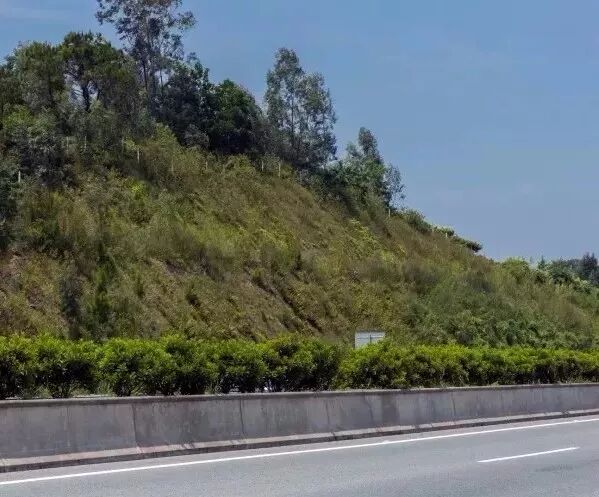 边坡绿化方案详解的图4