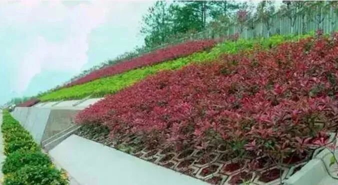 边坡绿化方案详解的图3