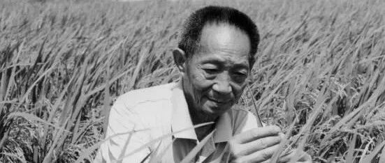 热爱体育的袁隆平爷爷离开了我们