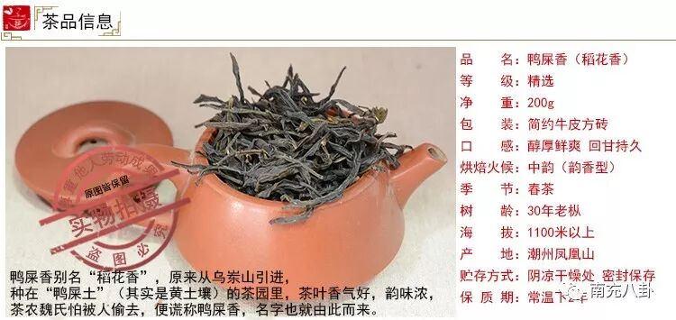 房产阴谋 ∣ 群狼【 圈养 】下中坝