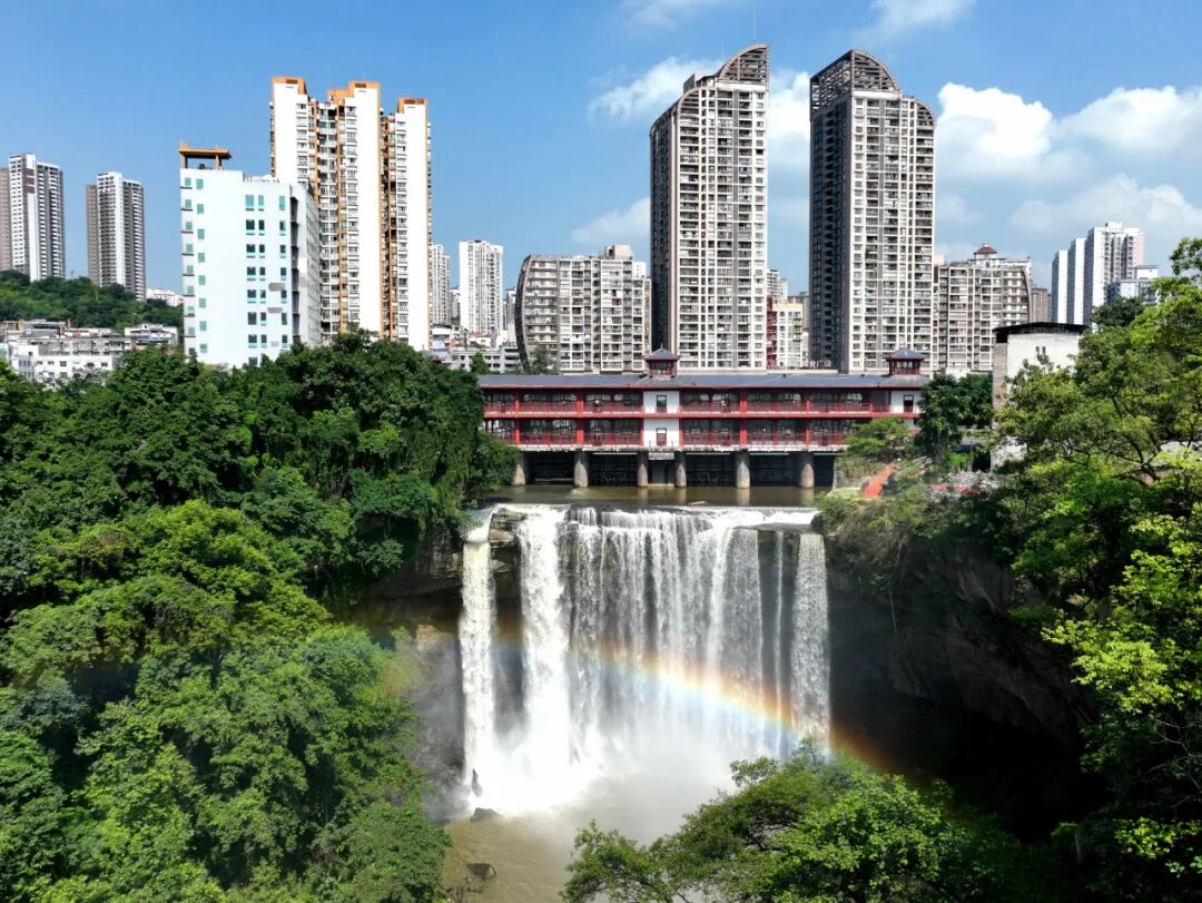 "2024长寿区摄影作品年度展"获奖作品展示