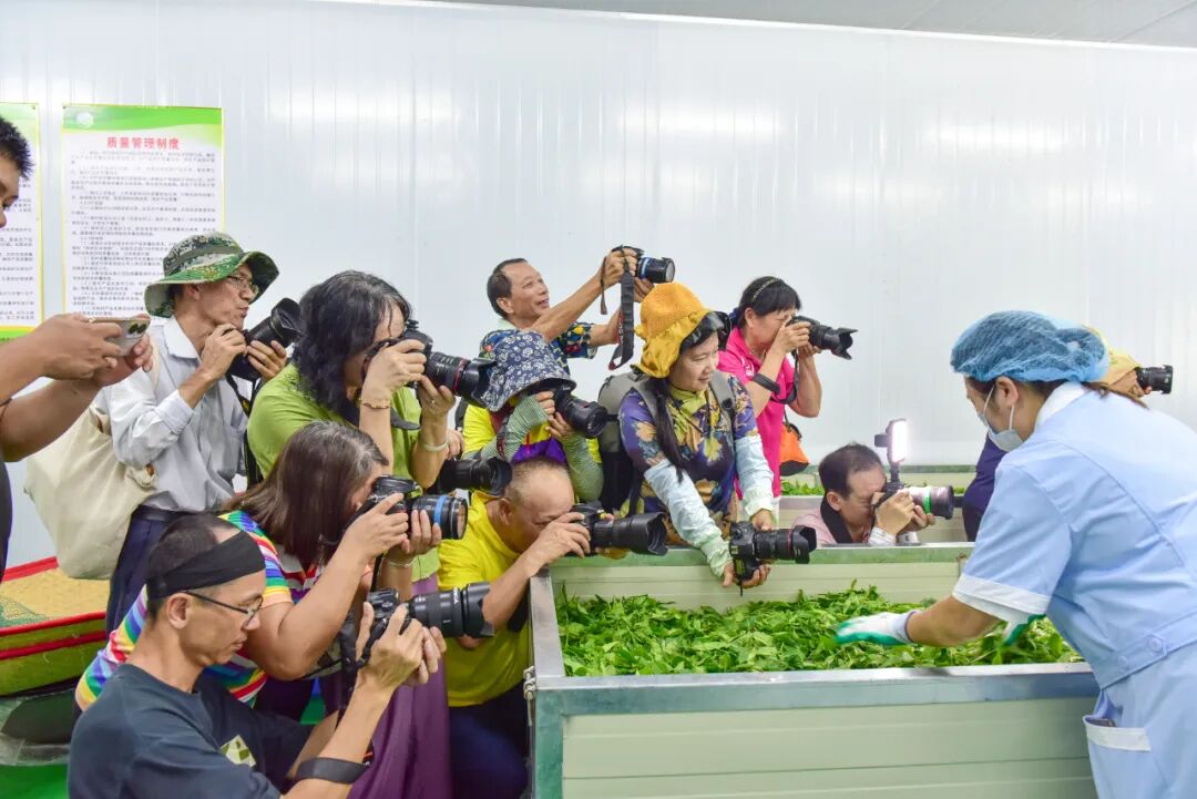 阳春市摄影家协会组织会员深入八甲镇开展"行摄美丽