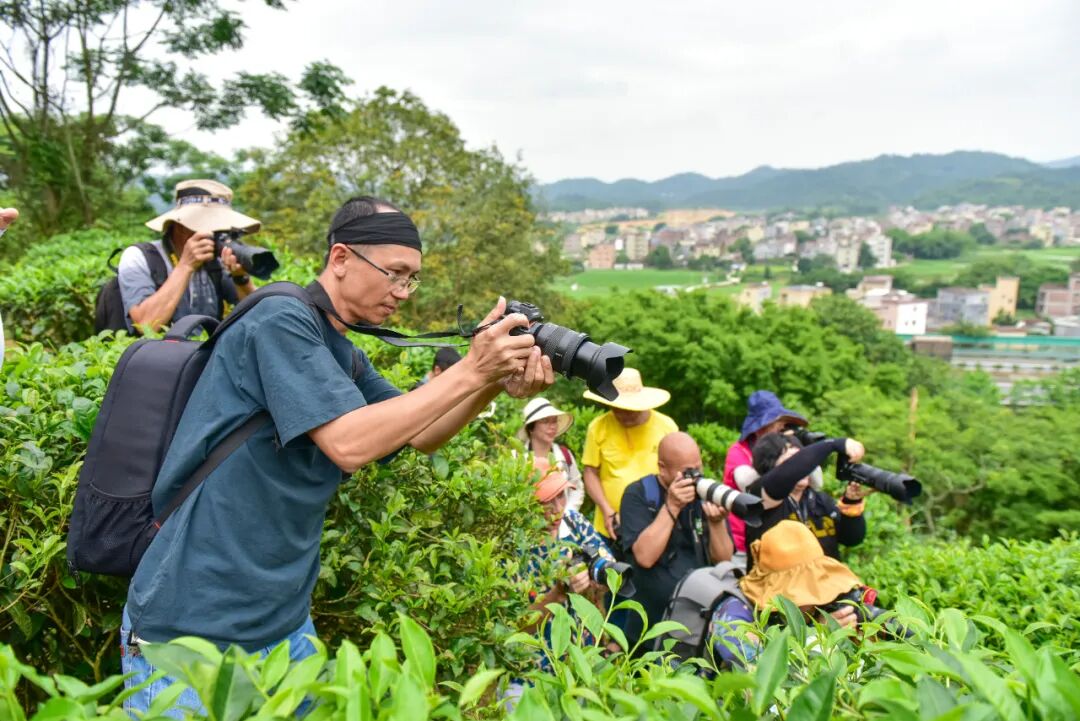 阳春市摄影家协会组织会员深入八甲镇开展"行摄美丽阳春,助力文旅发展