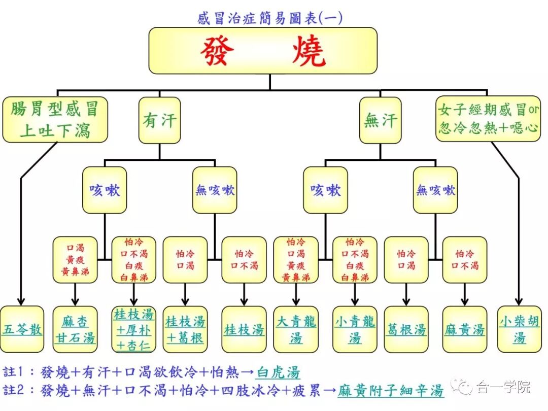 【合一医学】第98期：治疗感冒的中药方剂及感冒厨房图表