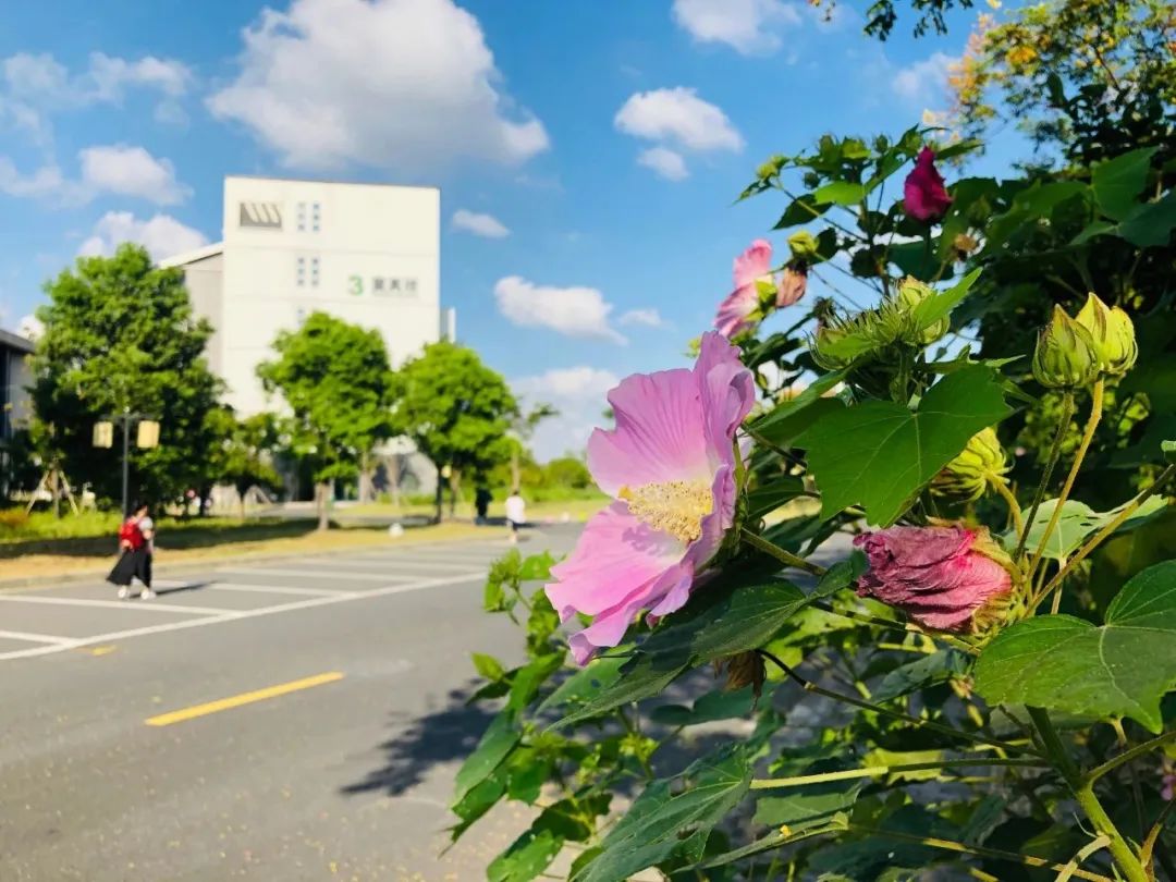 欢迎填报浙江师范大学幼师学院