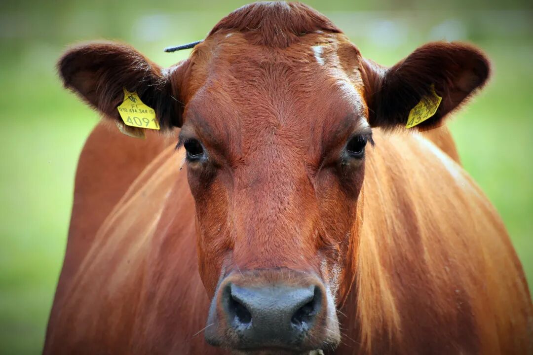 �������屦������ţ�̣�ר��0���Ǽ��������㴼�񣬺úúȣ�