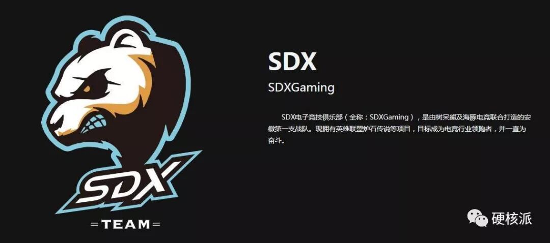 【硬核巡礼】2019年德玛西亚杯战队简介——SDX