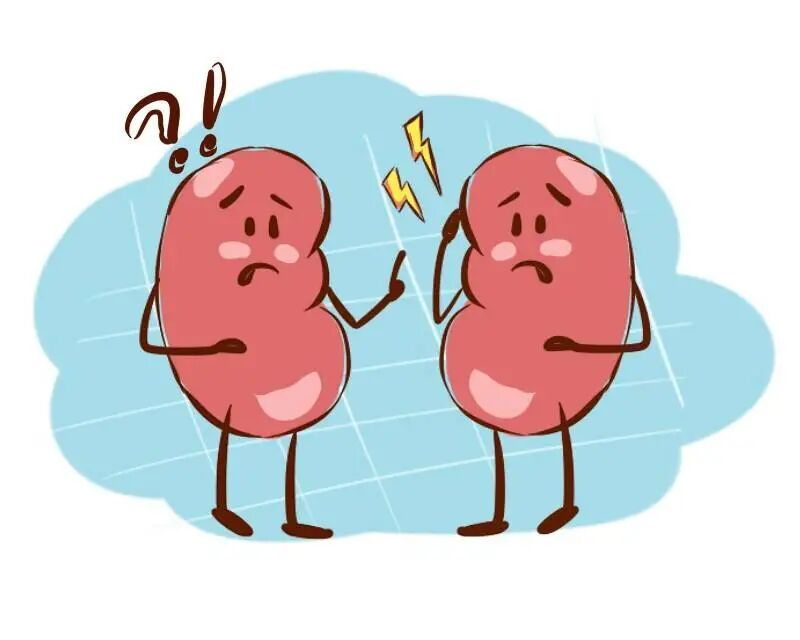 小敏家陈卓被查出肾癌早期这些现象最好重视起来