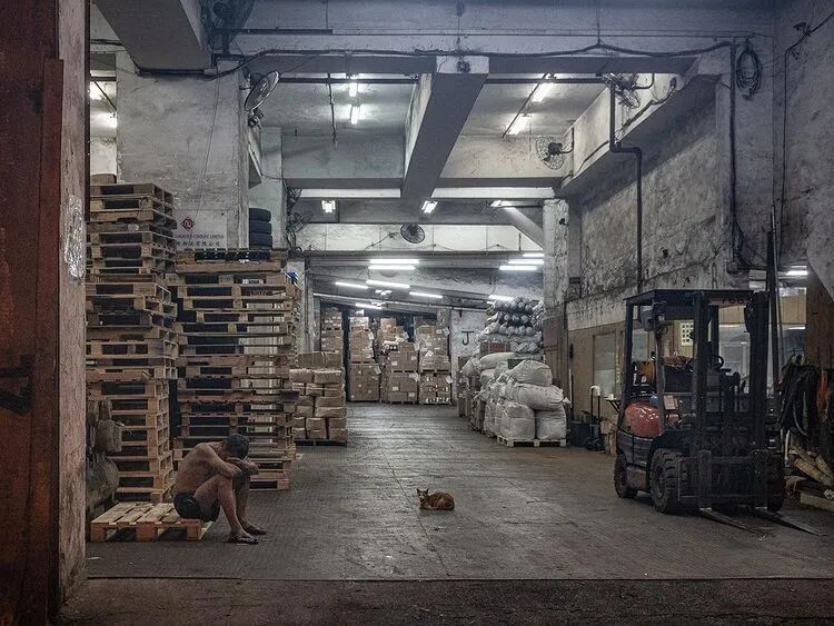 荷兰摄影师潜入香港，5年拍20000张猫片：不要因为走的太远，而忘了来时的路（组图） - 51