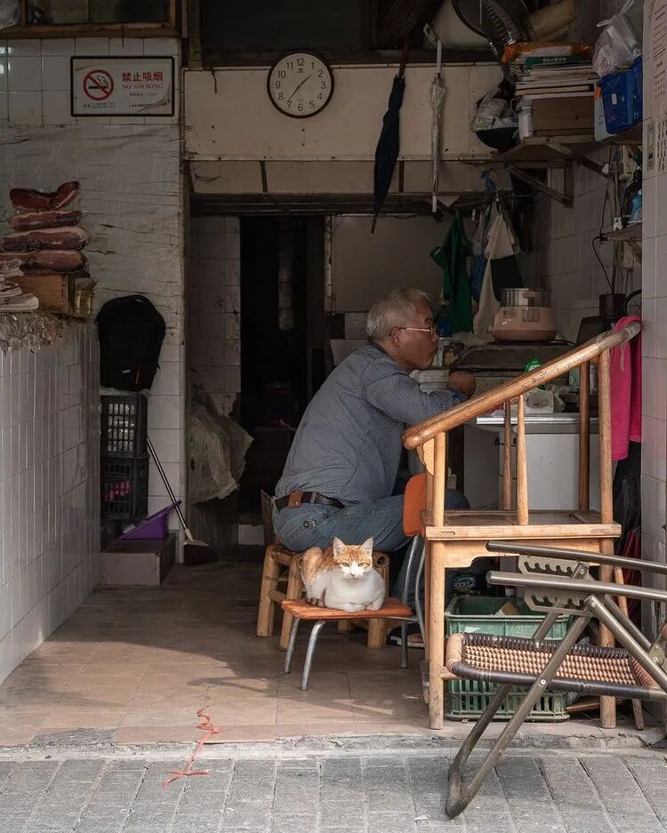 荷兰摄影师潜入香港，5年拍20000张猫片：不要因为走的太远，而忘了来时的路（组图） - 48