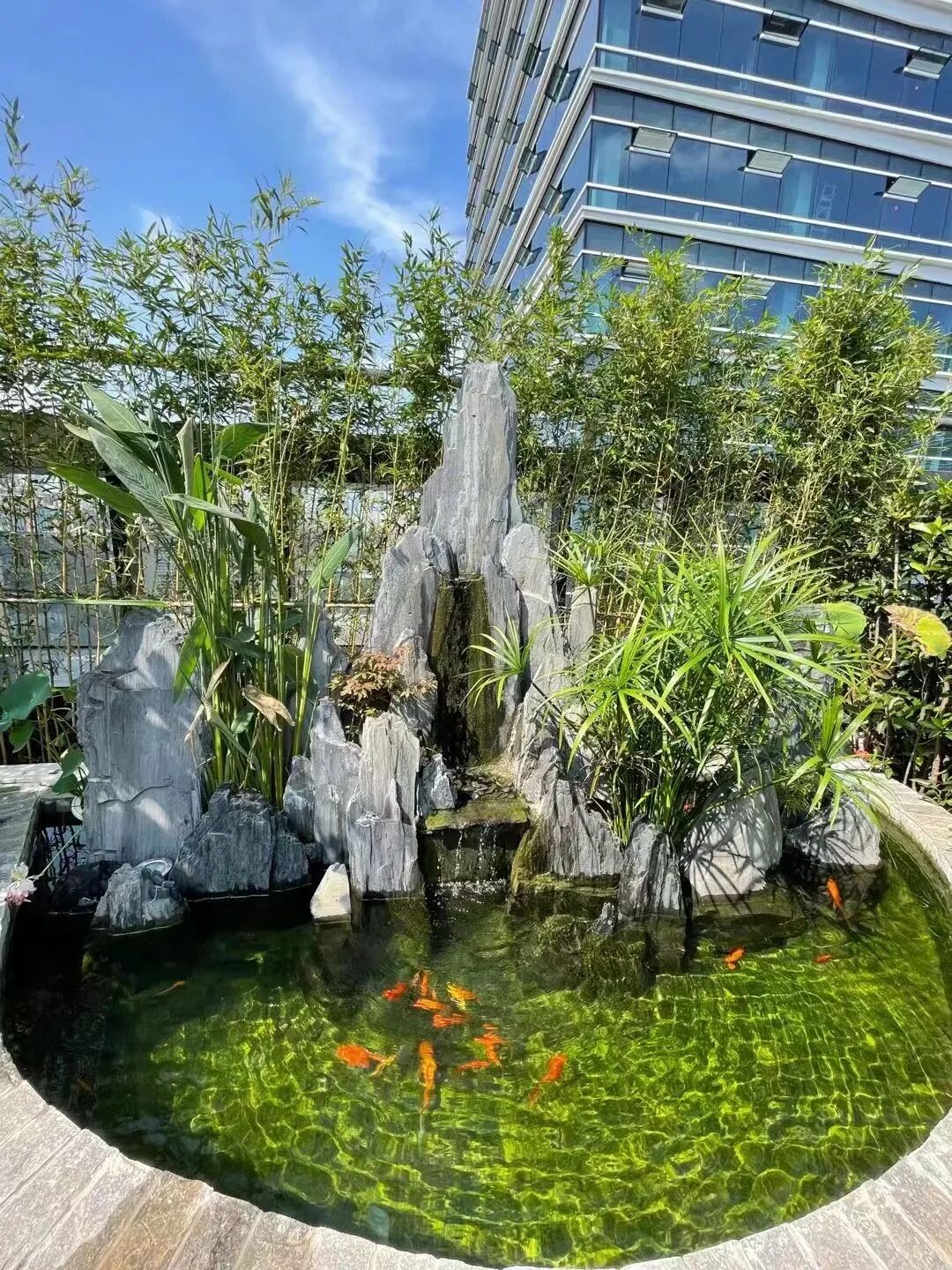 上海杨浦滨江独栋写字楼-旭辉环创中心,9800万起,通燃气可冠名