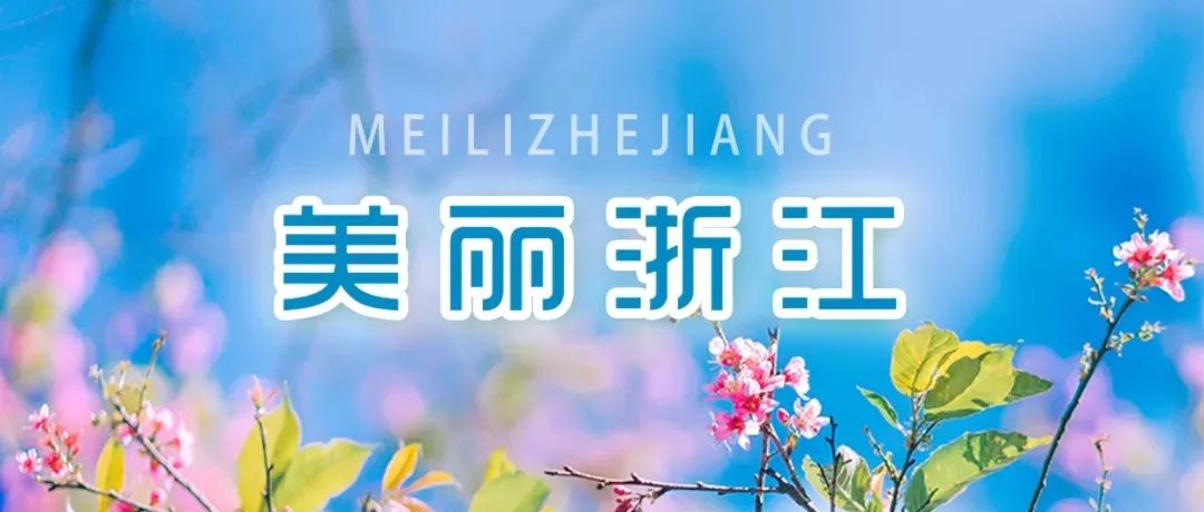 酸酸甜甜的季节 仙居如何念好“杨梅致富经”