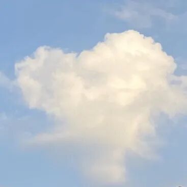 运动产生多巴胺还是内啡肽_运动多巴胺内啡肽的作用_运动多巴胺产生内啡肽吗