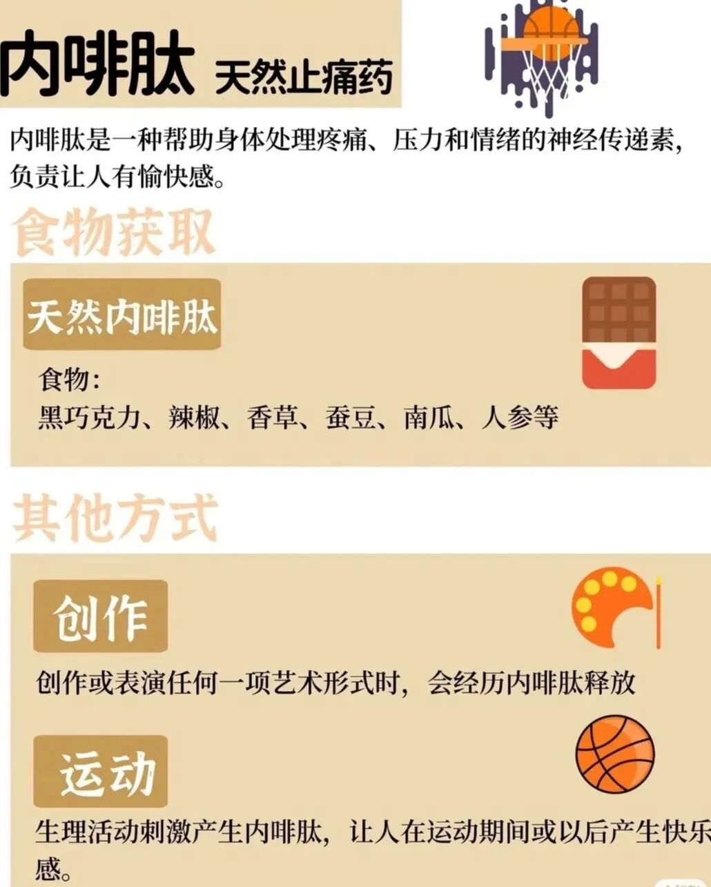 运动多巴胺内啡肽的作用_运动多巴胺产生内啡肽吗_运动产生多巴胺还是内啡肽