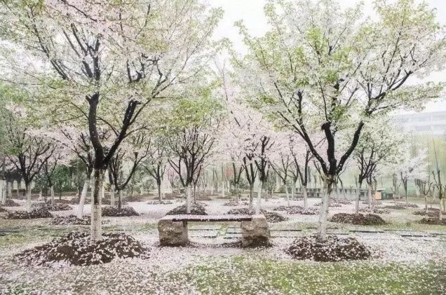 江南大學(xué)教務(wù)網(wǎng)登錄_江南大學(xué)教務(wù)系統(tǒng)進(jìn)不去_江南大學(xué)教務(wù)處登陸