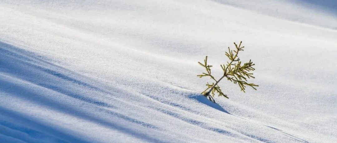 在线招聘火热，前程无忧过冬