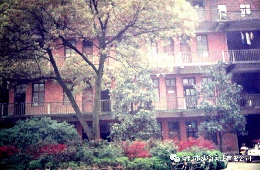 建衡六十年的风采